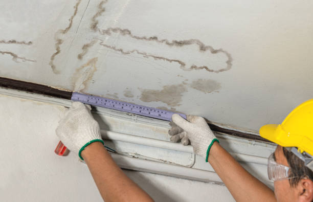 Reliable Mold Remediation contractor in Pawcatuck, CT by Water Damage Irwin